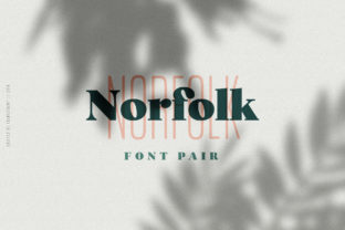Norfolk Duo: A Contemporary Font for Bold Branding