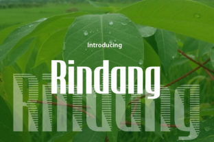 Rindang: A Fresh Display Font for Bold Branding