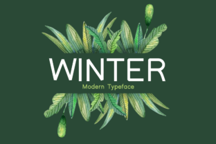 Winter Font for a Fresh Brand Look